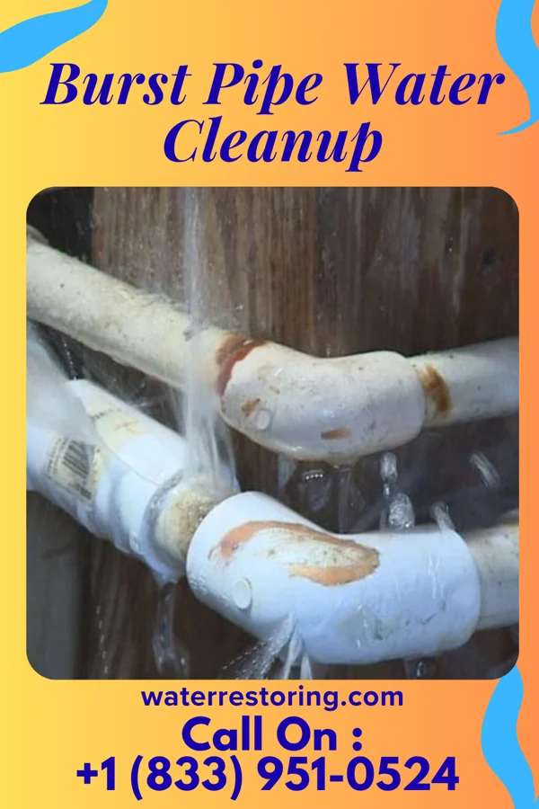 Burst Pipe Water Cleanup in Zeigler, IL